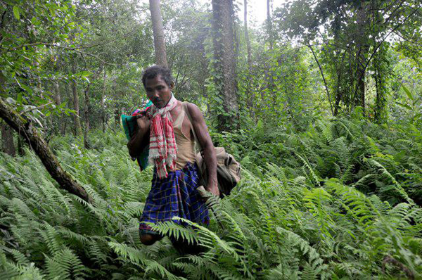Jadav Payeng