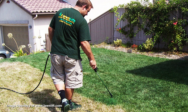 Paint the grass - www.lawnlift.com
