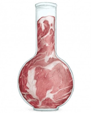 Engineered meat - Källa: Topfoodlab.nl