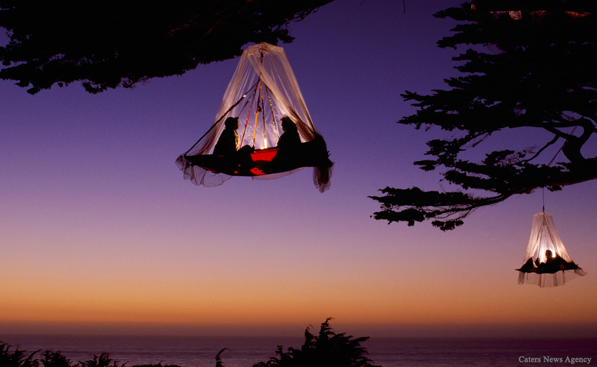 Tree camping - Foto: Caters News Agency