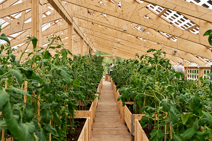 Ett av ETC:s växthus - Foto Fredrik Olsson