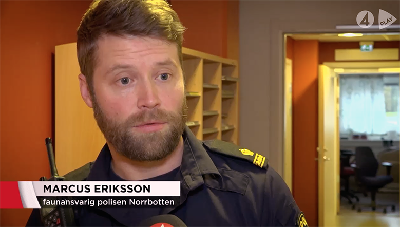 TV4 Pay om olaglig jakt i Sverige