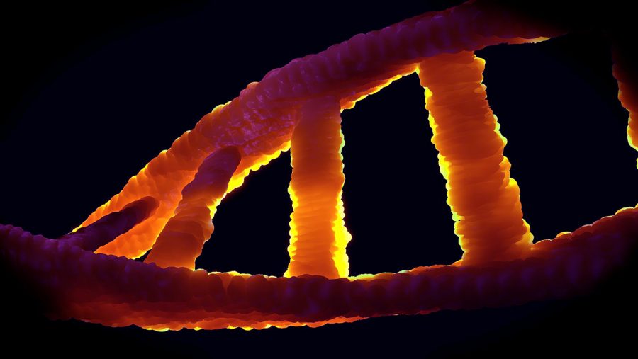DNA kan förändras av modifierat mRNA