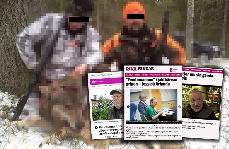 Illegal jakt - vargjakt. Montage: NewsVoice.se