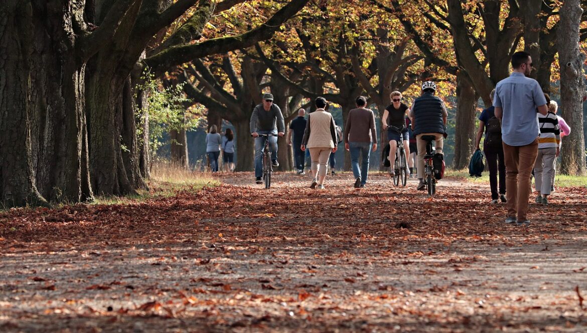 Walking in a park