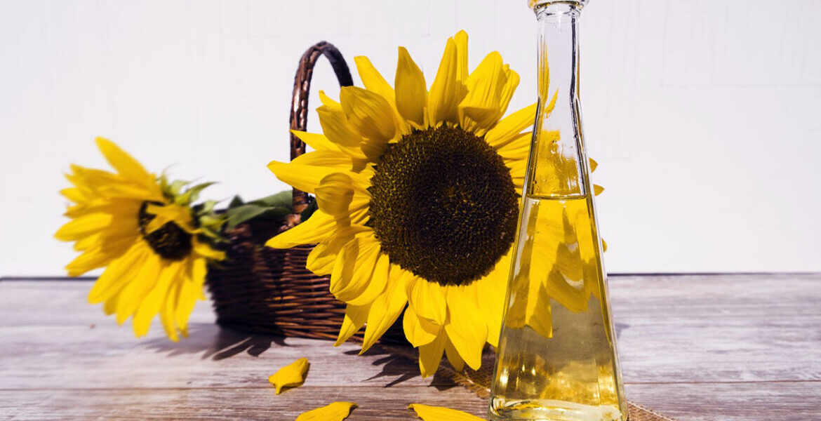 Solrosolja. Foto: Bruno Glätsch. Licens: Pixabay.com (free use)