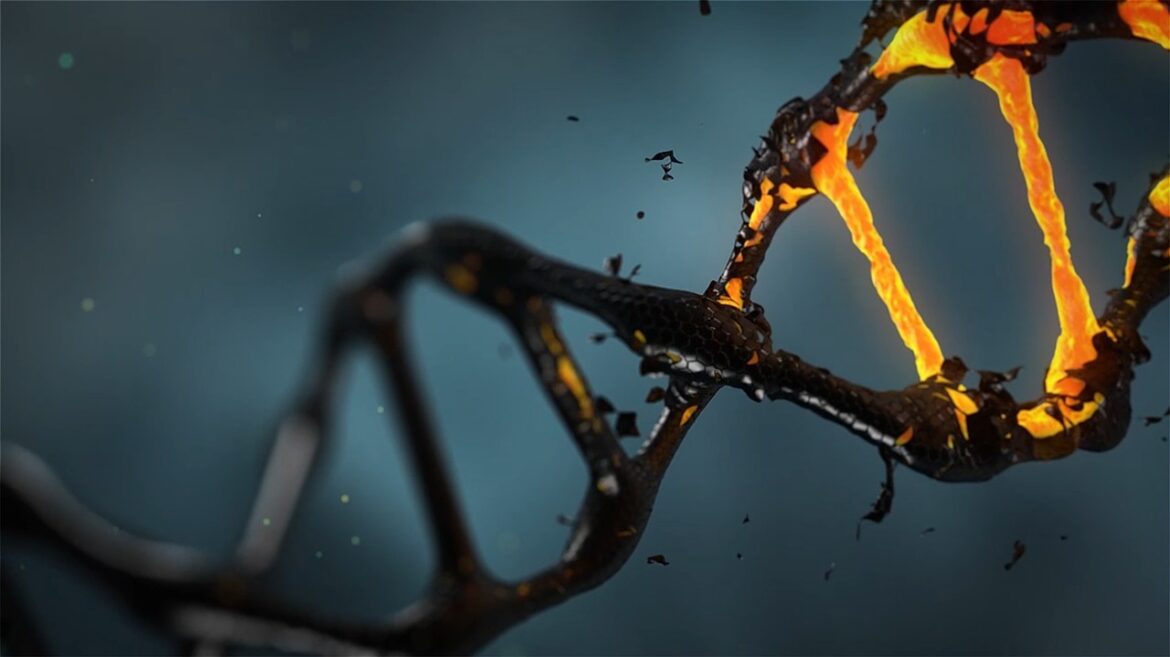 DNA. Bild: Lisichik. Licens: Pixabay.com (free use)