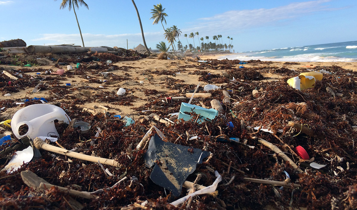 Plastics in nature. Foto: Dustan Woodhouse. Licens: Unsplash.com (free use)