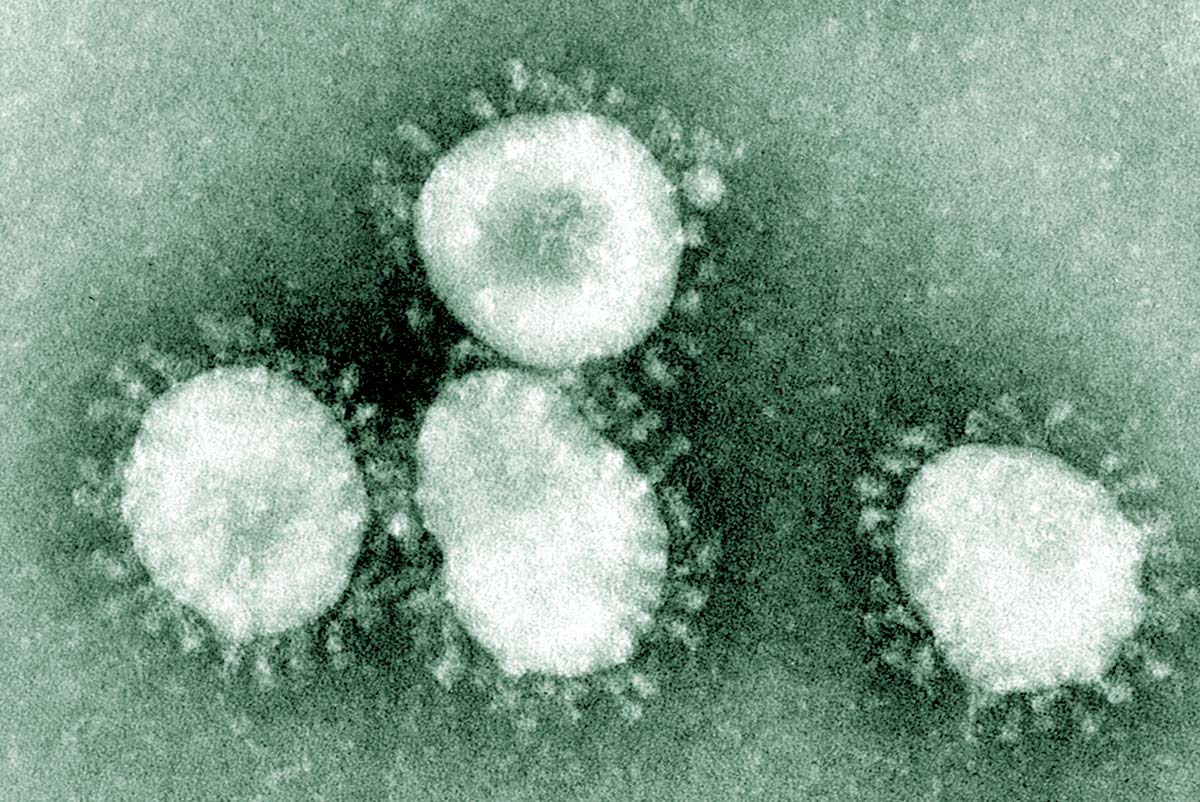 Coronavirus. Foto: CDC.gov. Licens: Public Domain