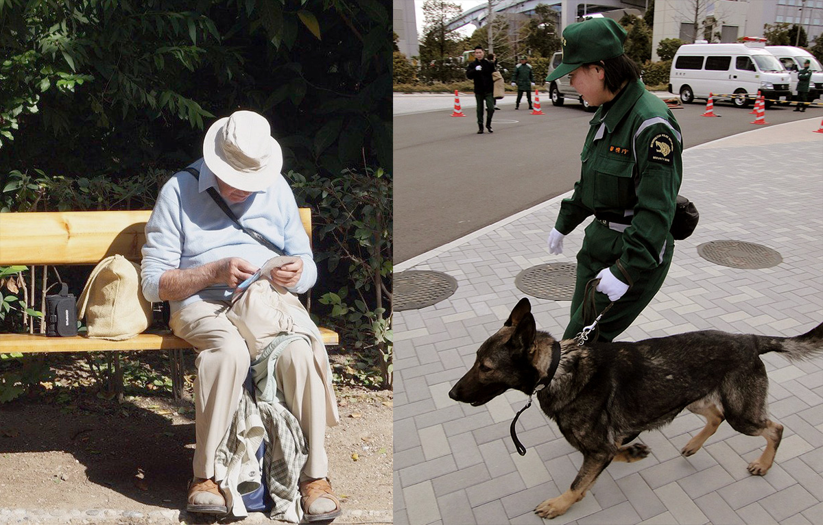 En äldre person (foto: StockSnap) och en japansk polishund, som ej är relaterad till denna artikel (foto: Äldre person (foto: StockSnap, Pixabay.com) och en japansk polishund som ej är relaterad till artikeln (foto: Dick Thomas Johnson, CC 2.0)