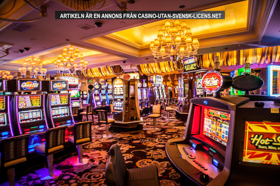 Casino. Foto: Kvnga Licens: Unsplash