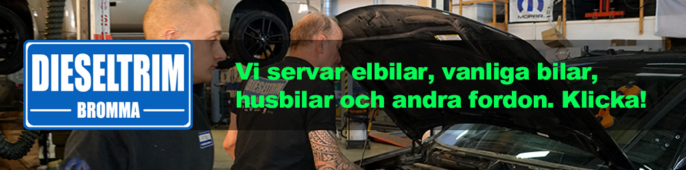 Bildannons för Dieseltrim.se