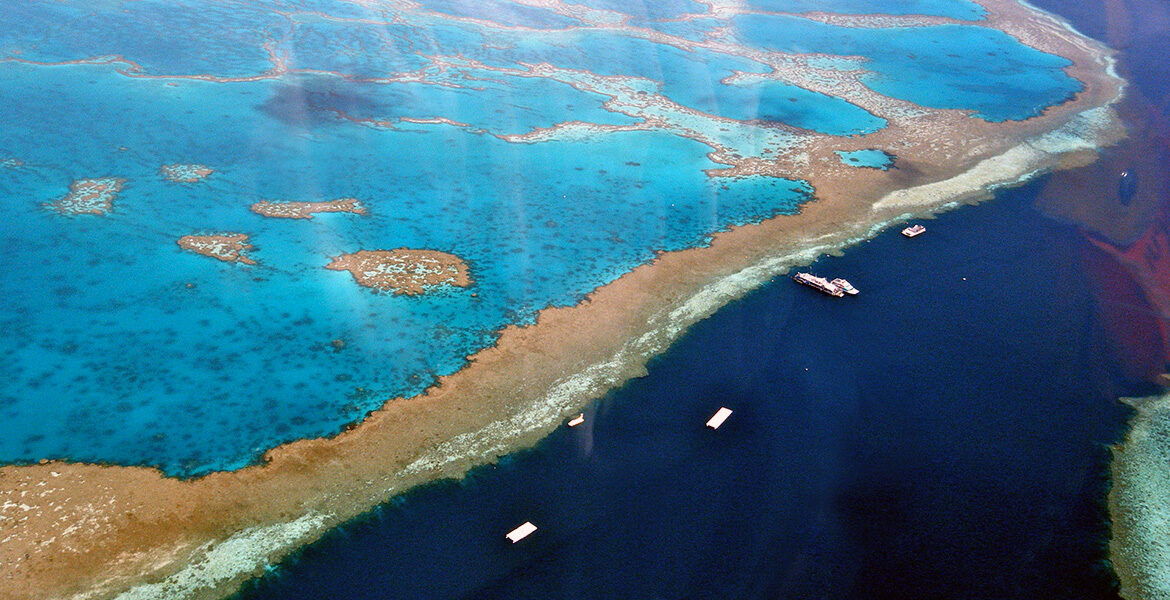 Great Barrier Reef - Stora barriärrevet