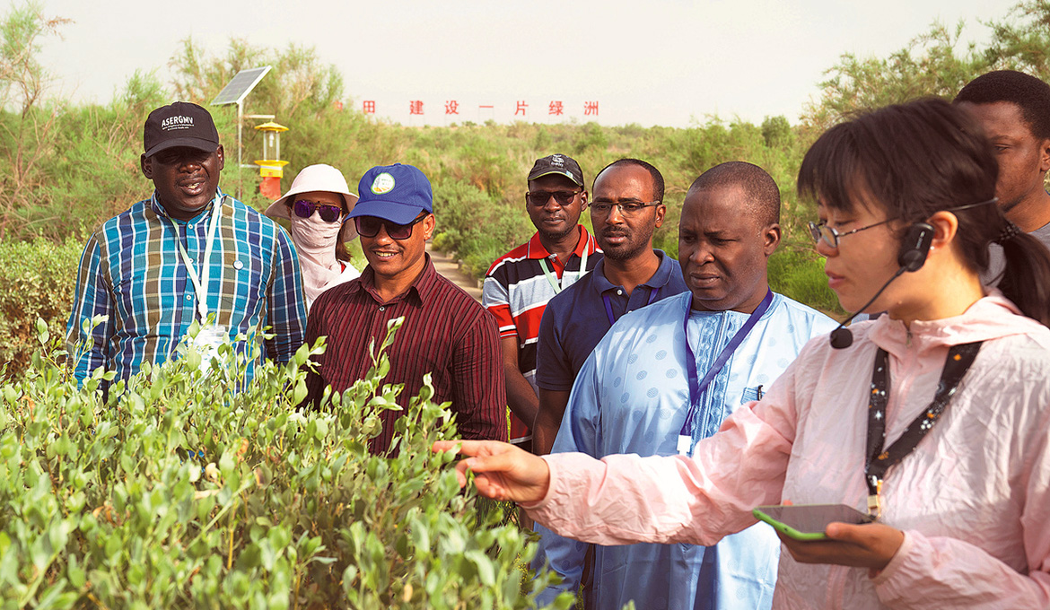 Desertifikation - A Chinese technician (right) guides a group of visitors from Africa