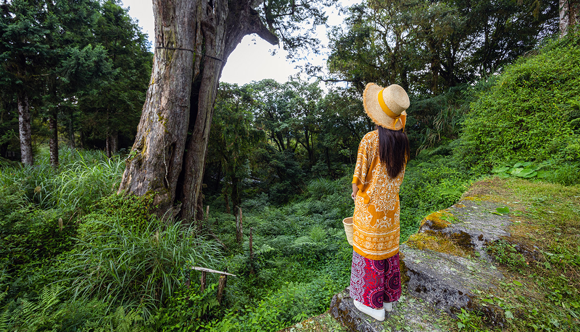 Temabild: Kvinna i lummig skog. Foto: Leung Chopan