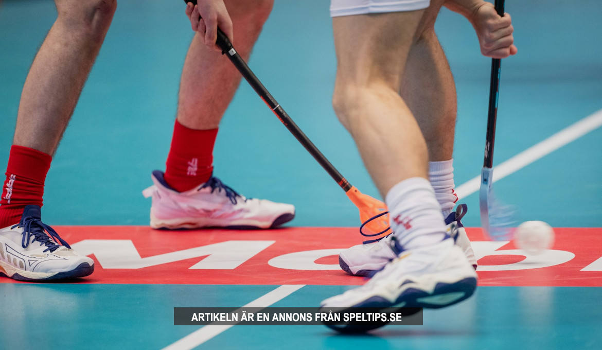 Svensk Innebandy Licens: Unsplash