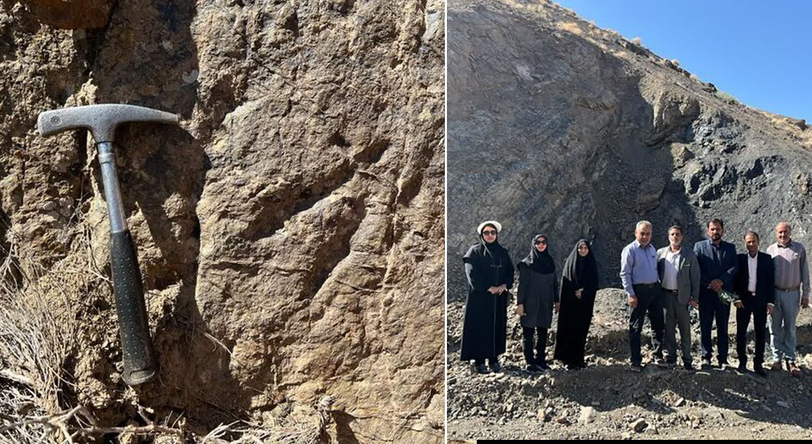 Dinosaur footprint in the Deh-Alireza region of Dashtkhak, located in northern Zarand county, Iran.