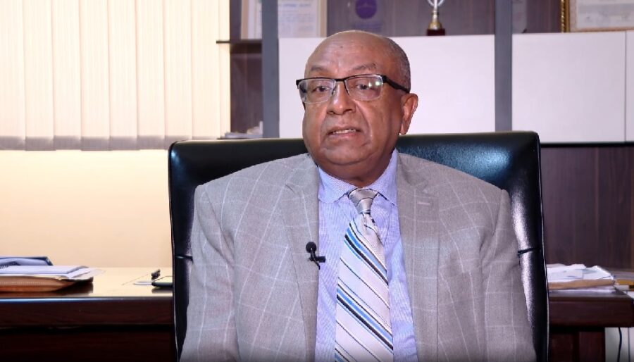 Brook Hailu, Professor of Political Science and International
