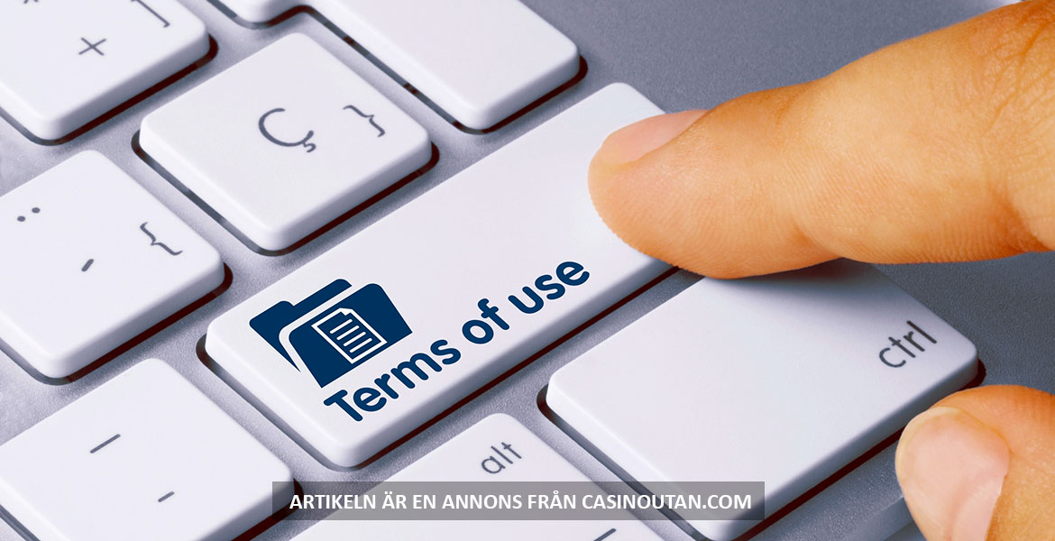 Användarvillkor, "terms of use"