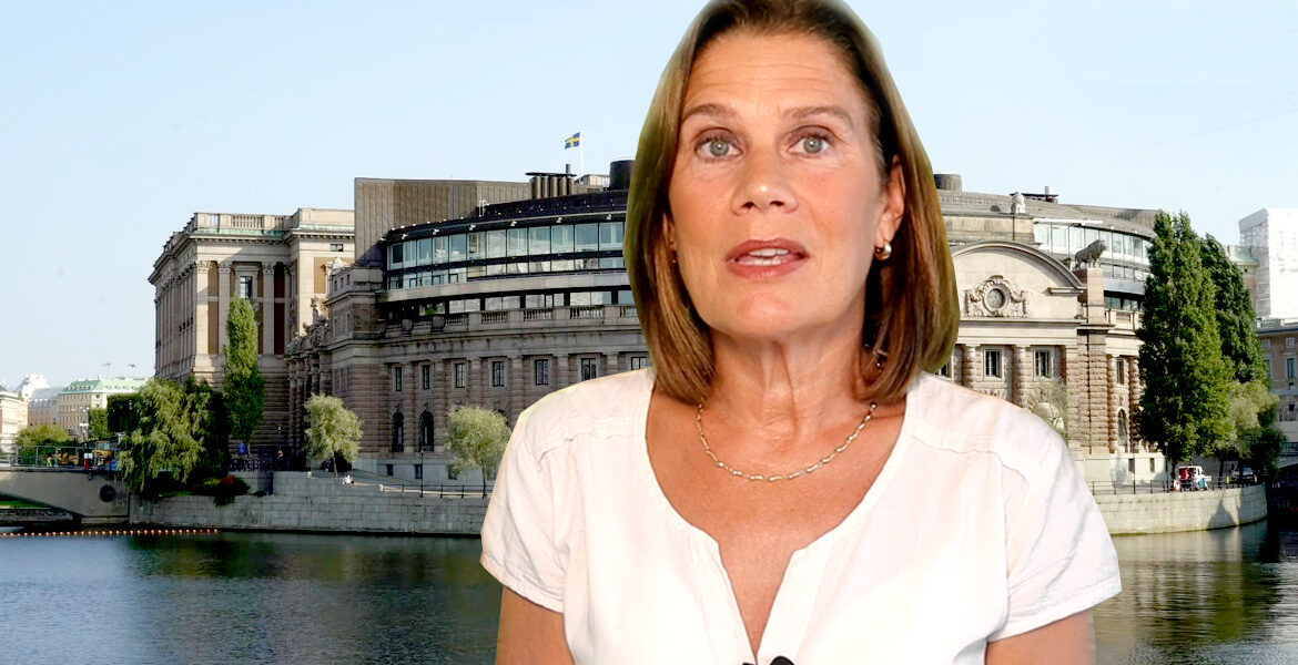 Elsa Widding, Riksdagen