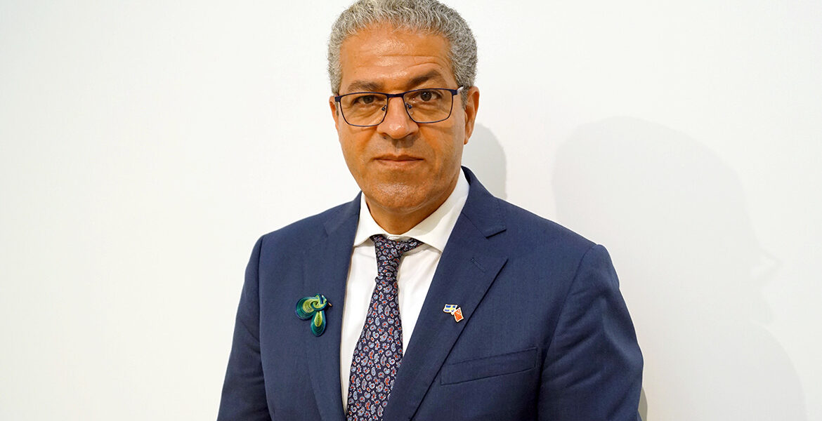 Hussein Askary, Belt and Road expert, Brixsweden.org.