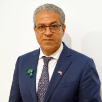Hussein Askary, Belt and Road expert, Brixsweden.org.