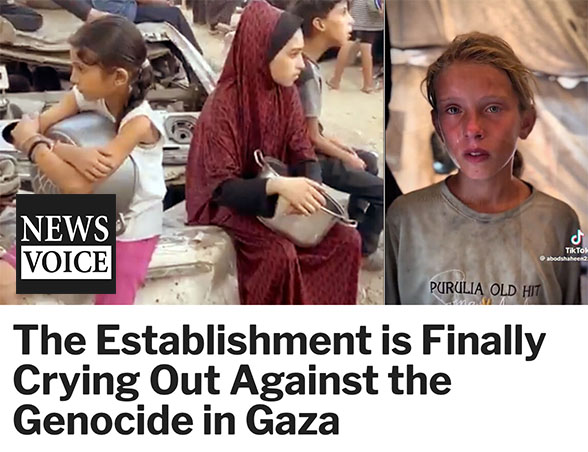 NewsVoice about the genocide and the full-scale Invasion of Gaza