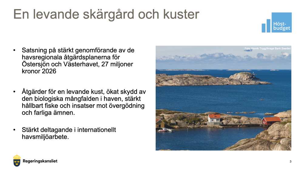 Regeringen satsar på en ren natur och giftfri vardag, presskonferens från 12 september 2025. 