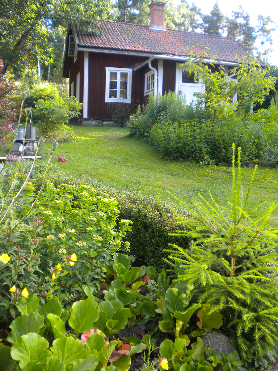 Angnäset på Muskö-den 2:a juli 2013 | Foto: Torbjorn Sassersson