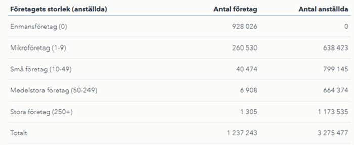 Antal företag och antal anställa per storleksklass, 2024