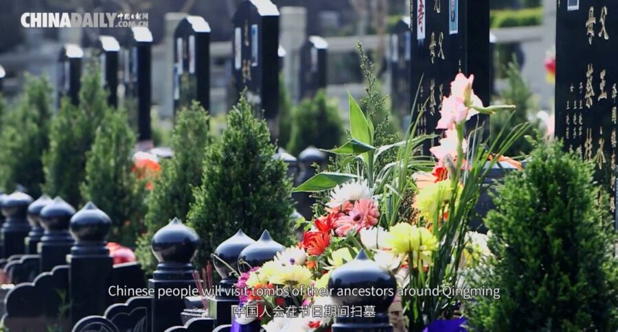 Qingming-festivalen är en traditionell högtid i Kina som ägnas åt att hedra förfäderna | Foto: China Daily
