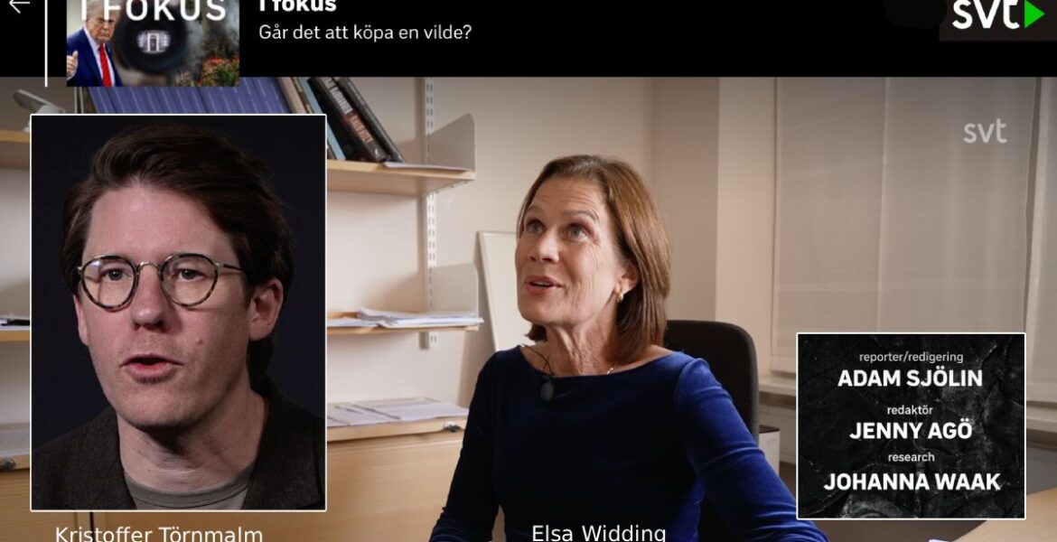 Elsa Widding hängs ut av SVT | Reportage av Kristoffer Törnmalm (reporter), Johanna Waak (research) och Adam Sjölin (foto), SVT