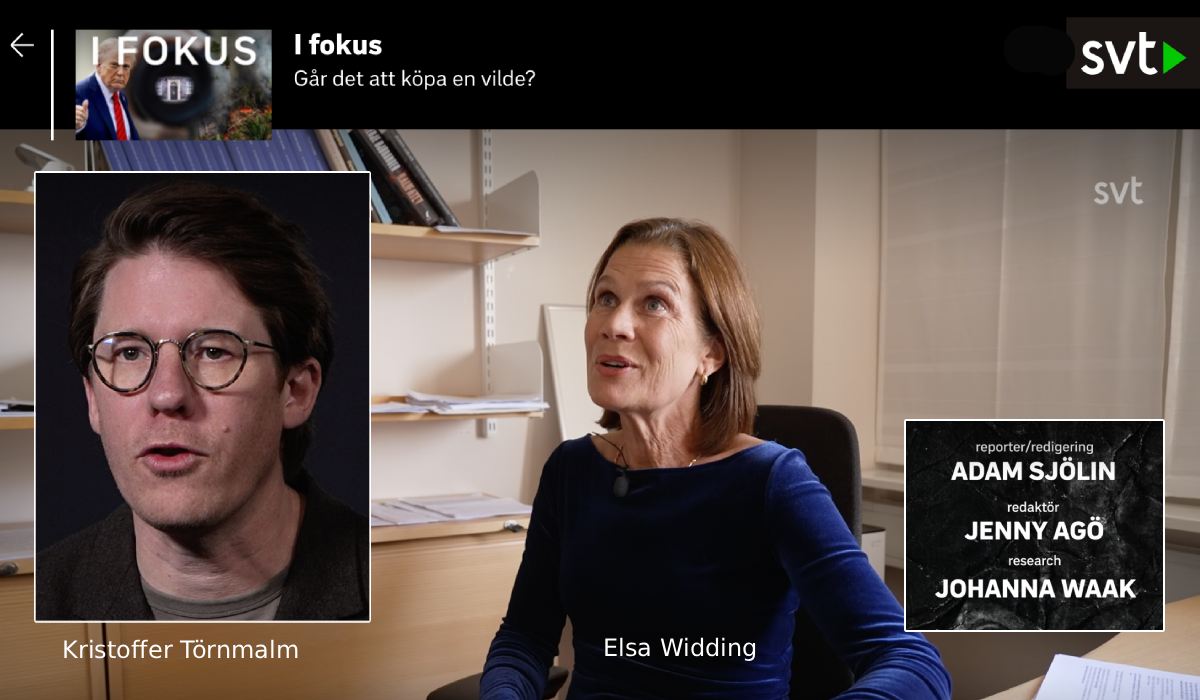 Elsa Widding hängs ut av SVT | Reportage av Kristoffer Törnmalm (reporter), Johanna Waak (research) och Adam Sjölin (foto), SVT