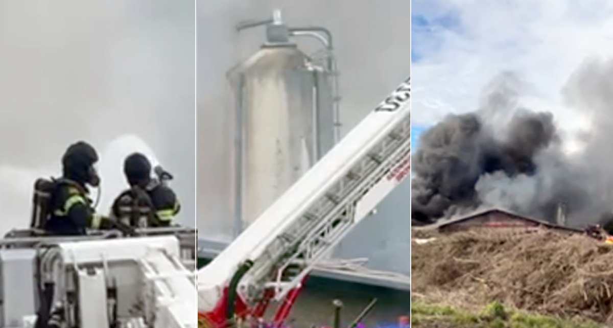 48,000 hens killed in a fire in Sweden