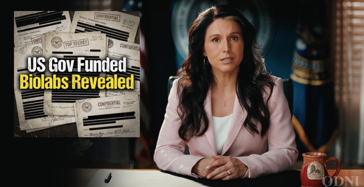 Tulsi Gabbard