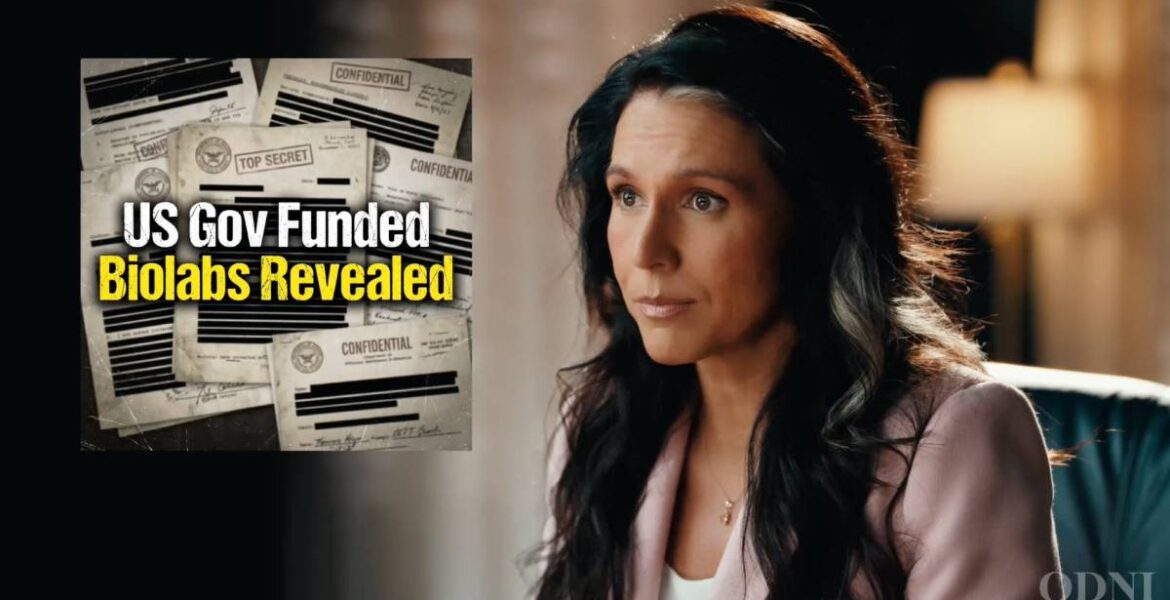 Tulsi Gabbard