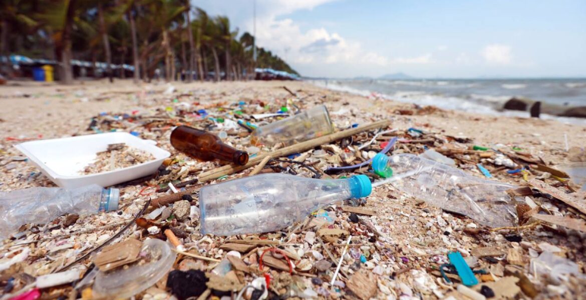 Plastic and microplastic waste