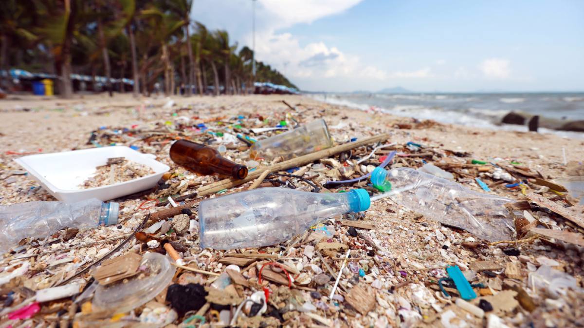 Plastic and microplastic waste