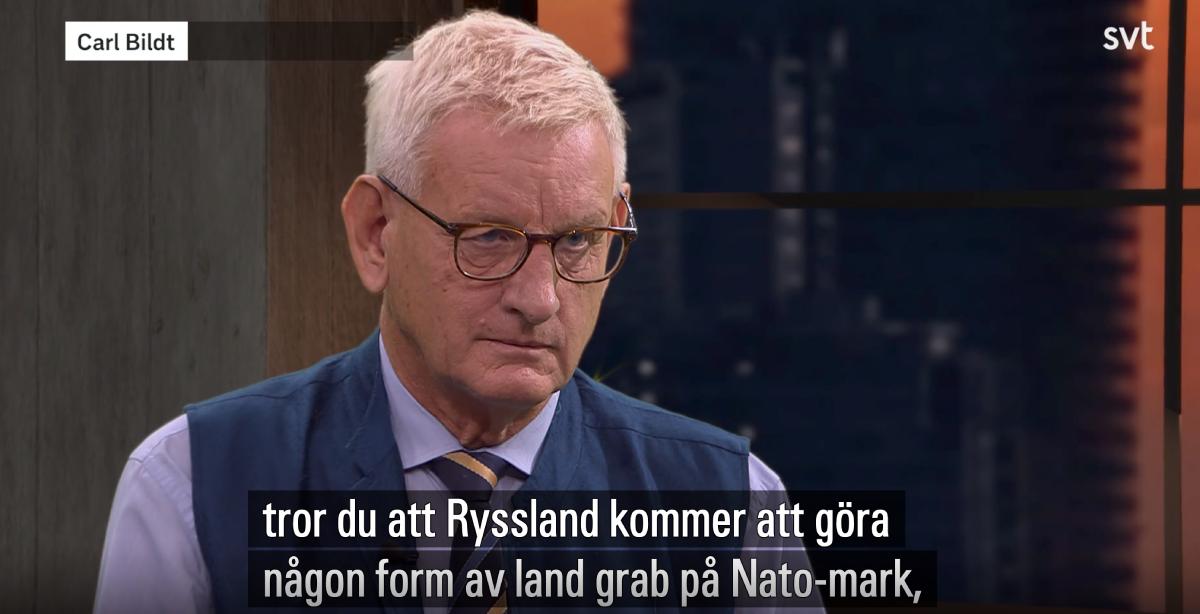 Carl Bildt